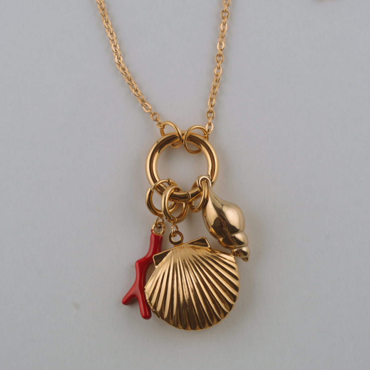 SHELL Convertible Charm